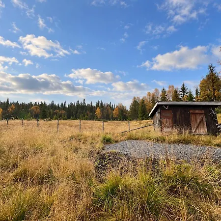 Authentic And Charming Life In Golsfjellet Gol
