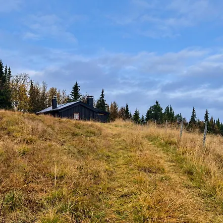 Authentic And Charming Life In Golsfjellet * Gol