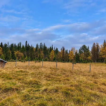 Authentic And Charming Life In Golsfjellet